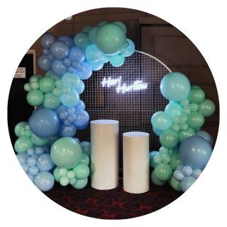 Boujee Mesh + Neon + Plinth