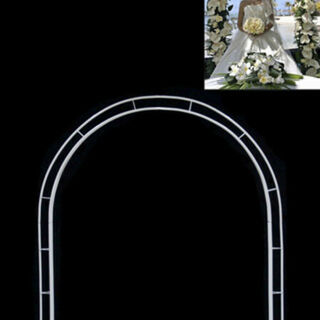 White Tall Arch Frame