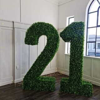 Greenery Numbers