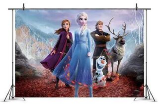 Frozen Backdrop