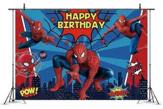 Spiderman Backdrop